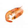 Cooked Tiger Prawn 26/30 HOSO (Head On Shell On) 1kg