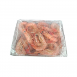 Cooked Tiger Prawn 26/30 HOSO (Head On Shell On) 1kg